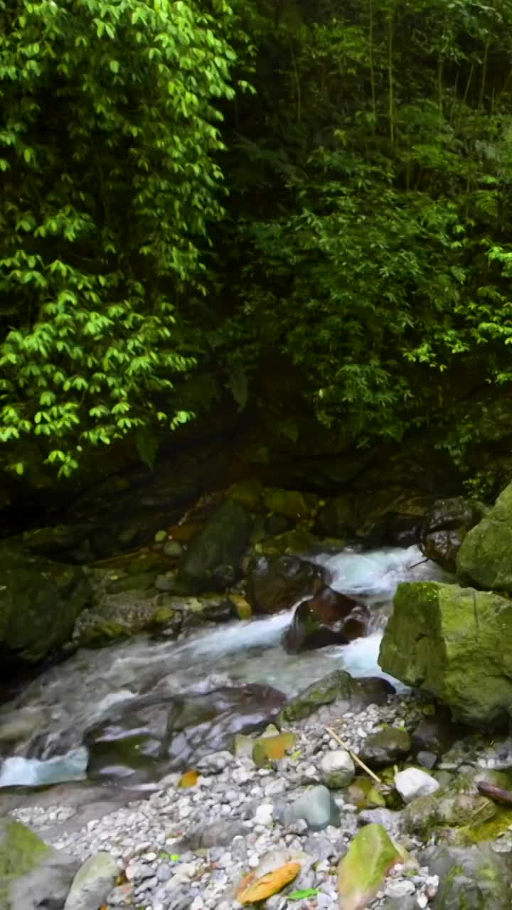 峨眉山的山泉与流瀑视频素材