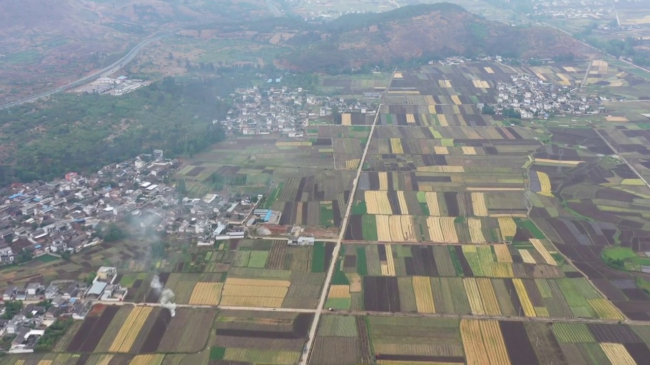 田地,航拍视角,农业,角度,风景乡村,田园风光,稻田视频素材