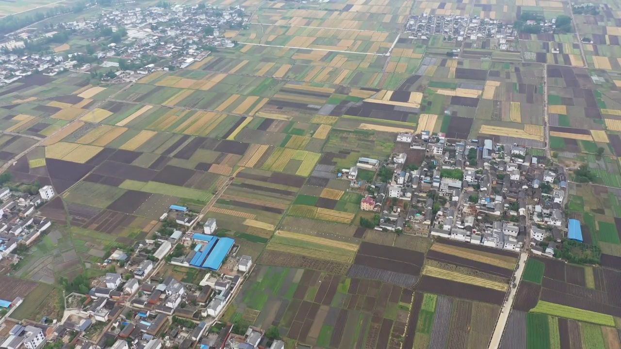 田地,航拍视角,农业,角度,风景乡村,田园风光,稻田视频素材