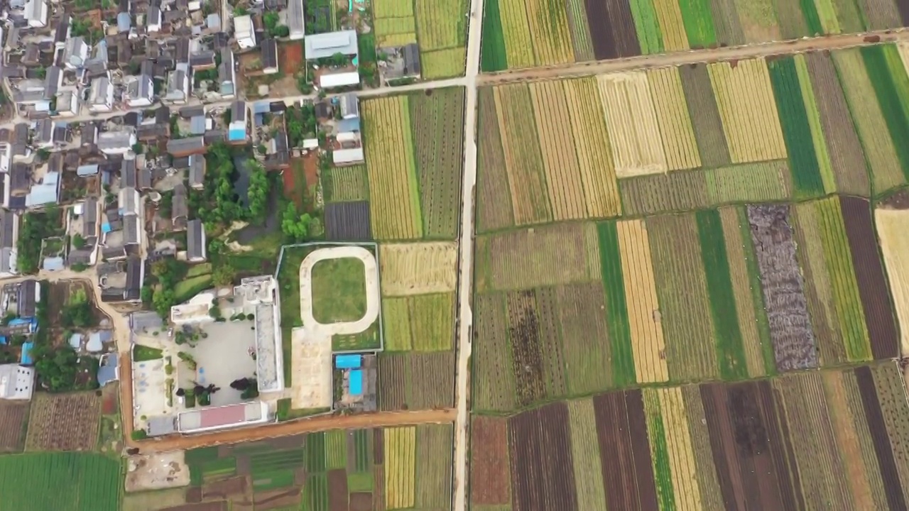 田地,航拍视角,农业,角度,风景乡村,田园风光,稻田视频素材