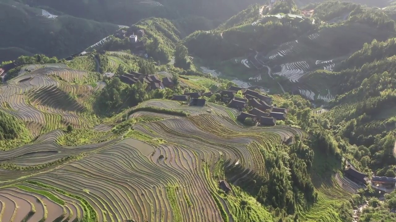 夏天阳光下桂林龙胜潘内梯田风光视频素材