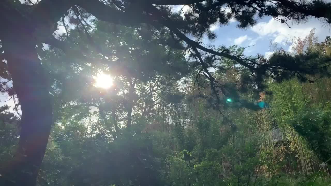 红螺寺一日视频下载