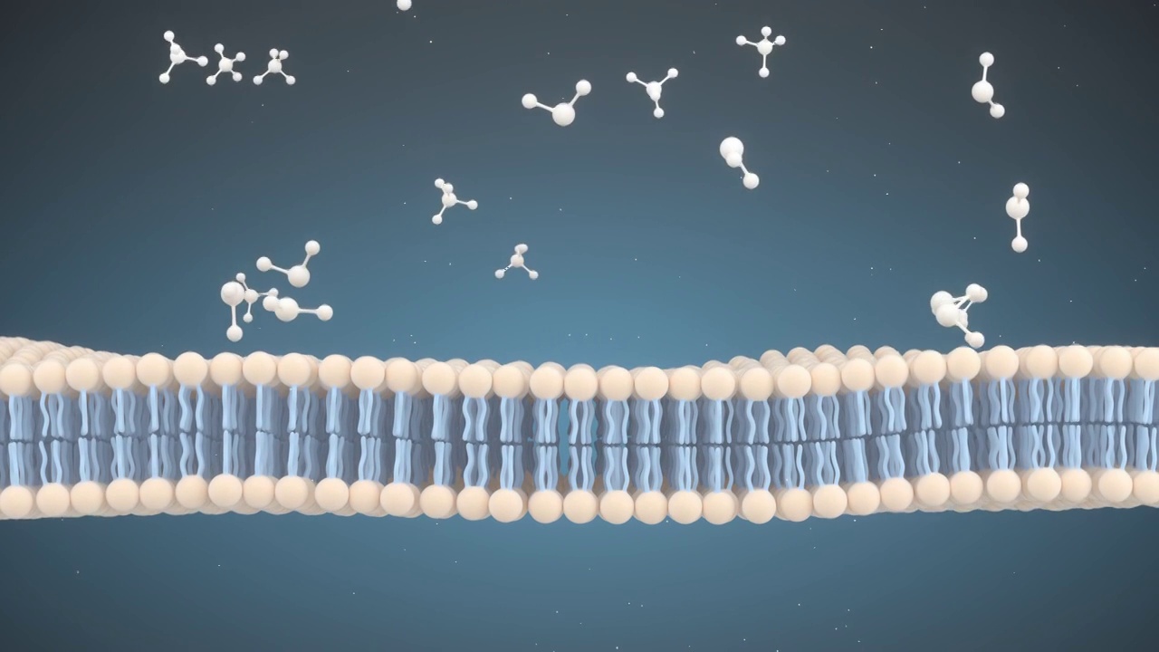 细胞膜与分子结构 3D渲染视频素材