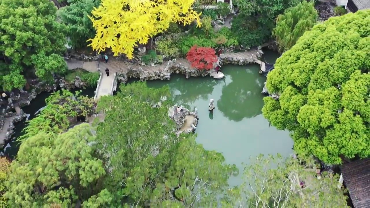 苏州古典园林—苏州市狮子林的秋色风光视频素材