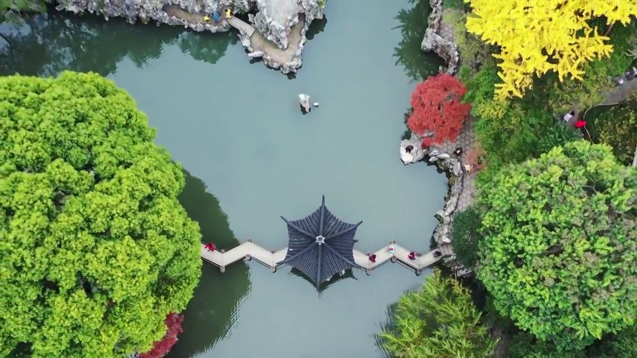 苏州古典园林—苏州市狮子林的秋色风光视频素材