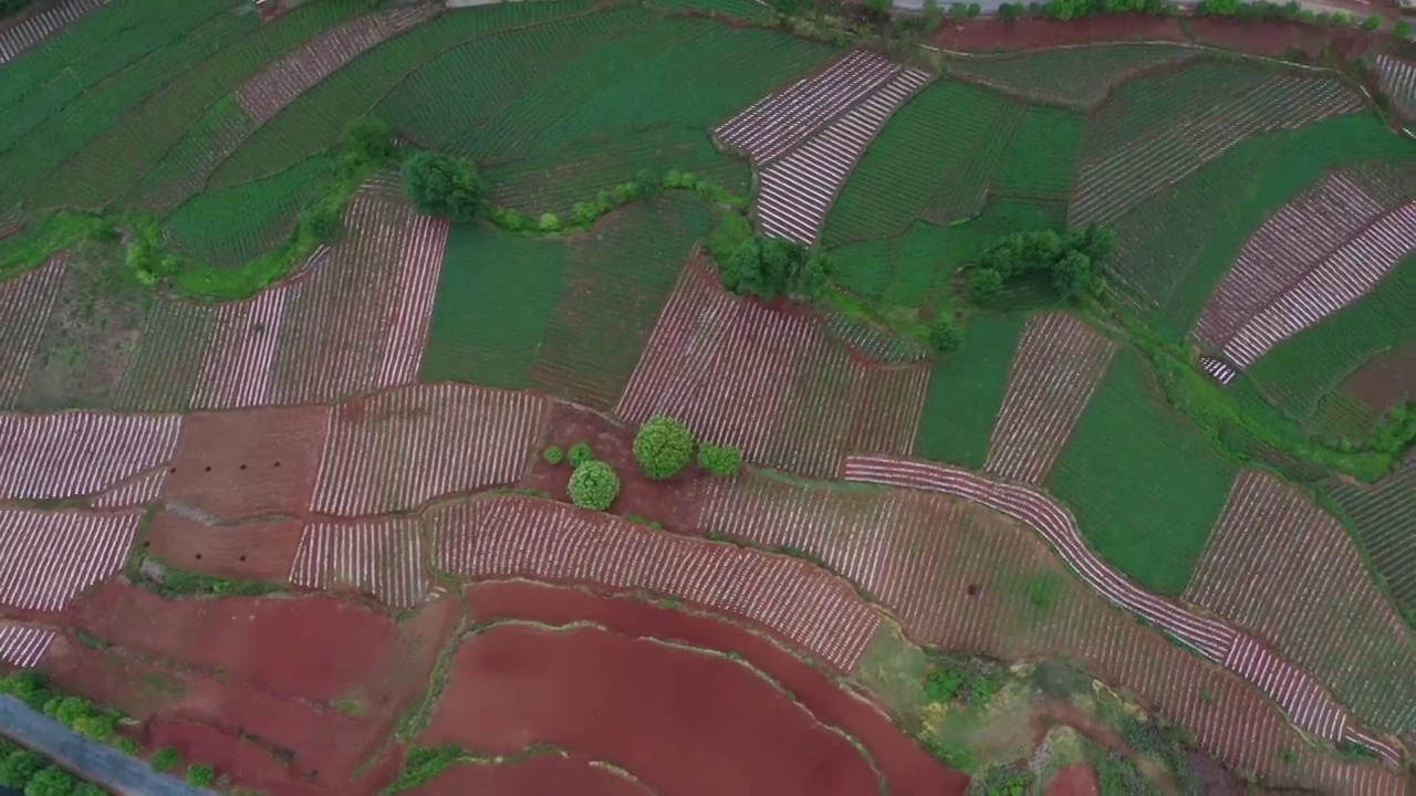 航拍云南昆明东川红土地视频素材