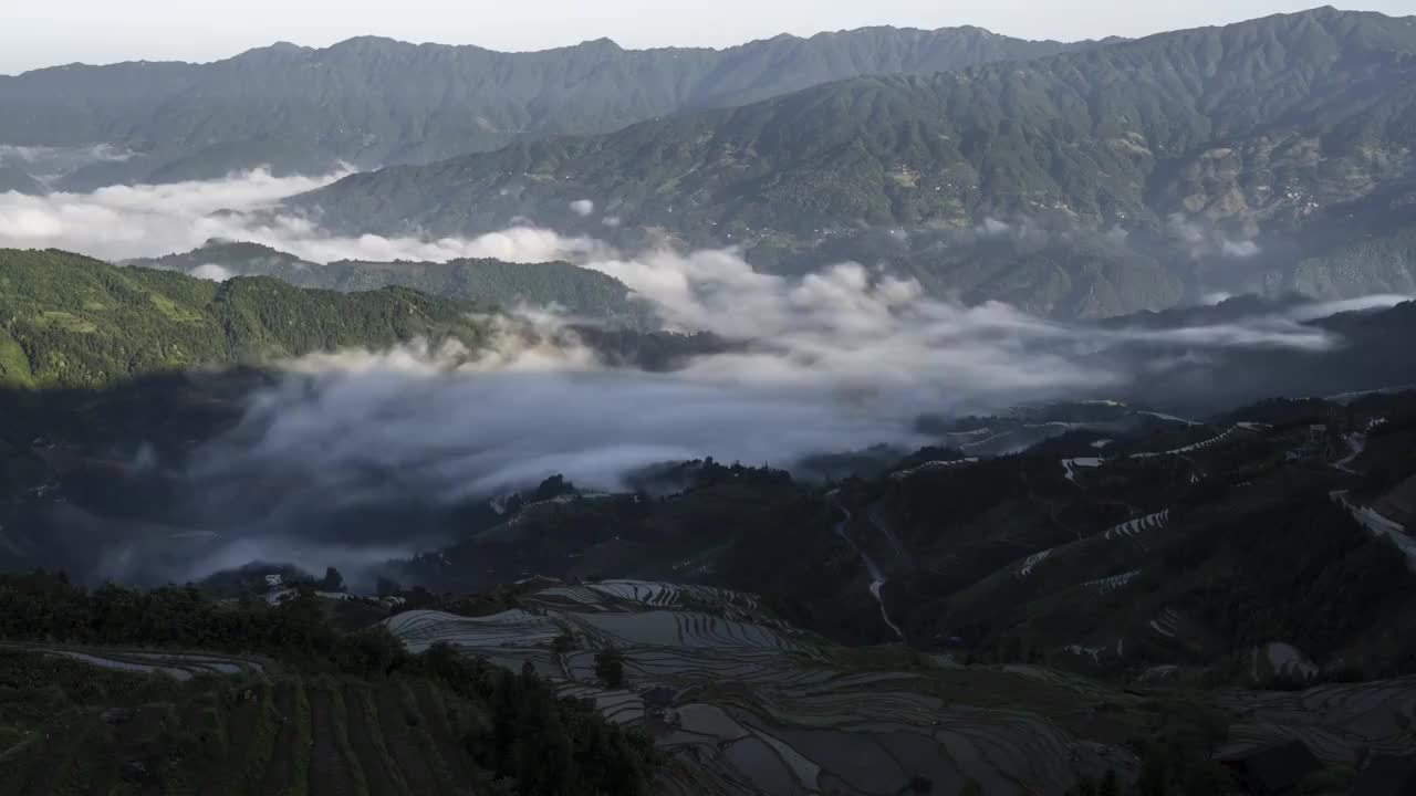 清晨阳光下桂林龙胜潘内梯田的云海视频素材