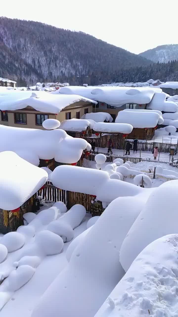 东北雪乡的雪景视频素材