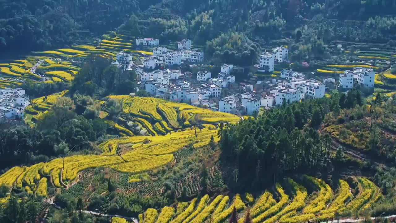 婺源江湾视频素材