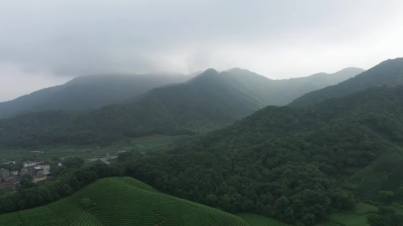 雨中茶园场景视频素材