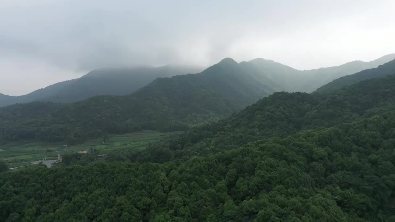 雨中茶园场景视频素材