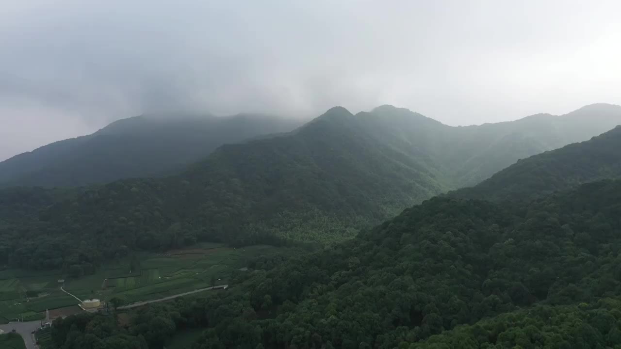 雨中茶园场景视频素材