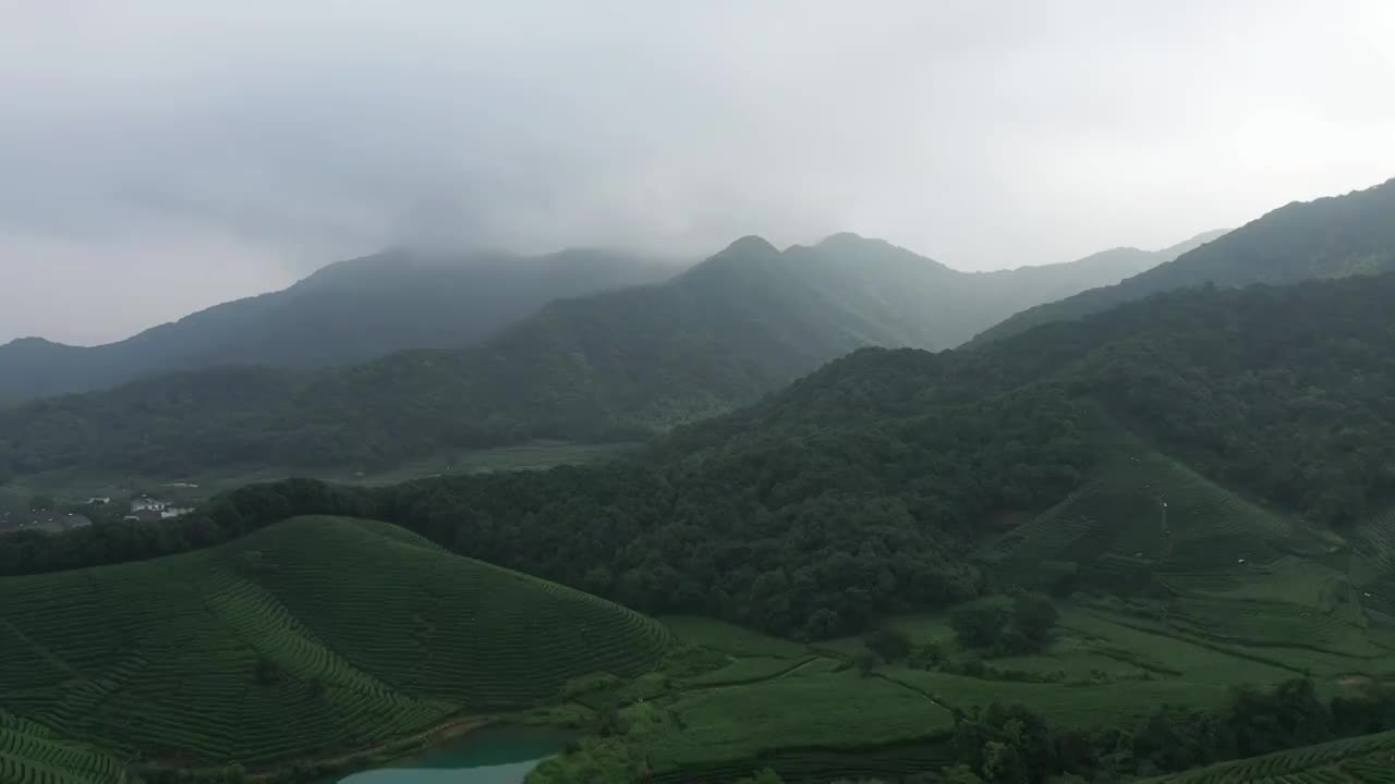 雨中茶园场景视频素材