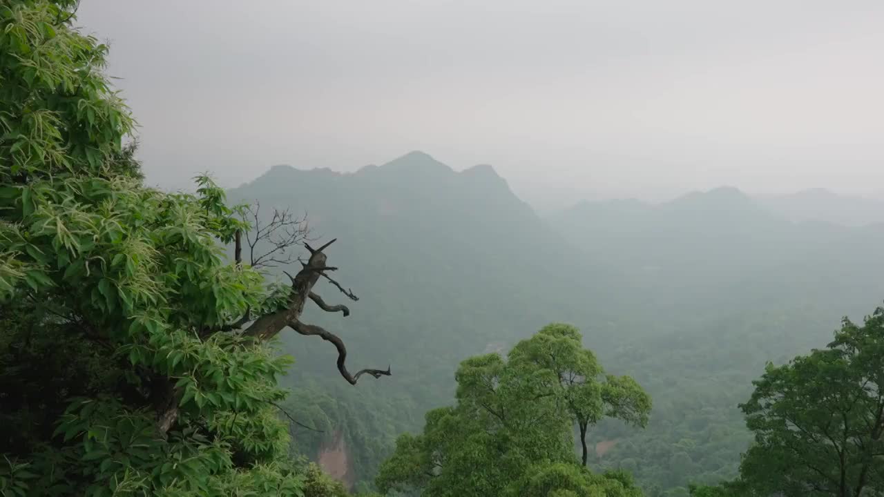 青城山远景视频素材