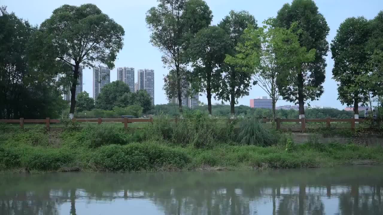 成都市青龙湖湿地公园蓝天白云湖泊航拍视频素材