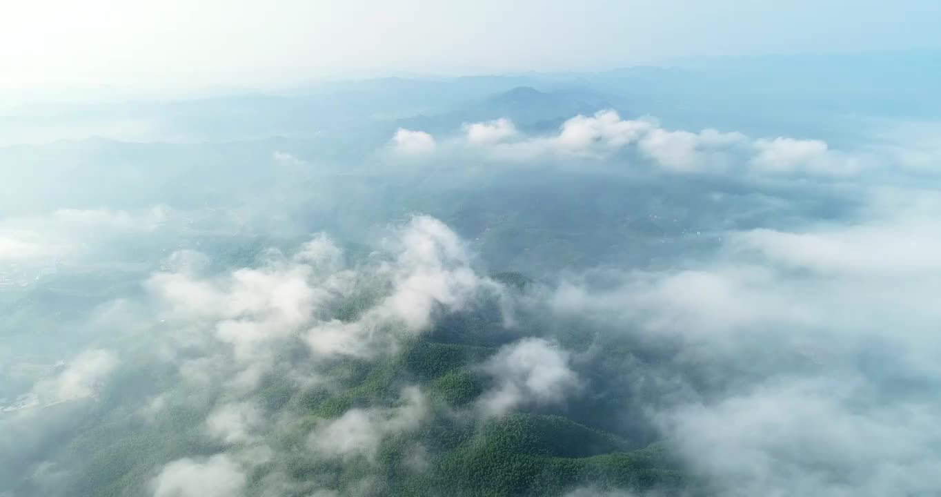 山 云雾 森林 自然 绿色视频素材