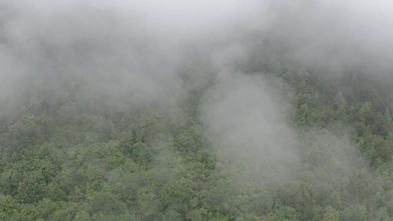 贵州格凸河视频素材