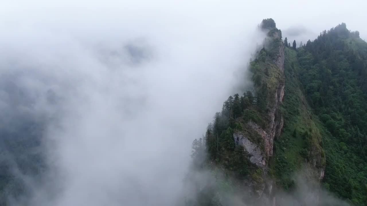 山峰云海山脉树林宏伟视频素材