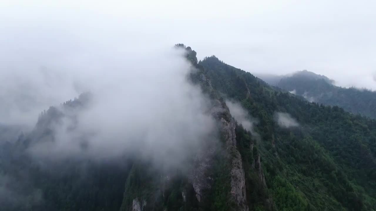 山峰云海山脉树林宏伟视频素材