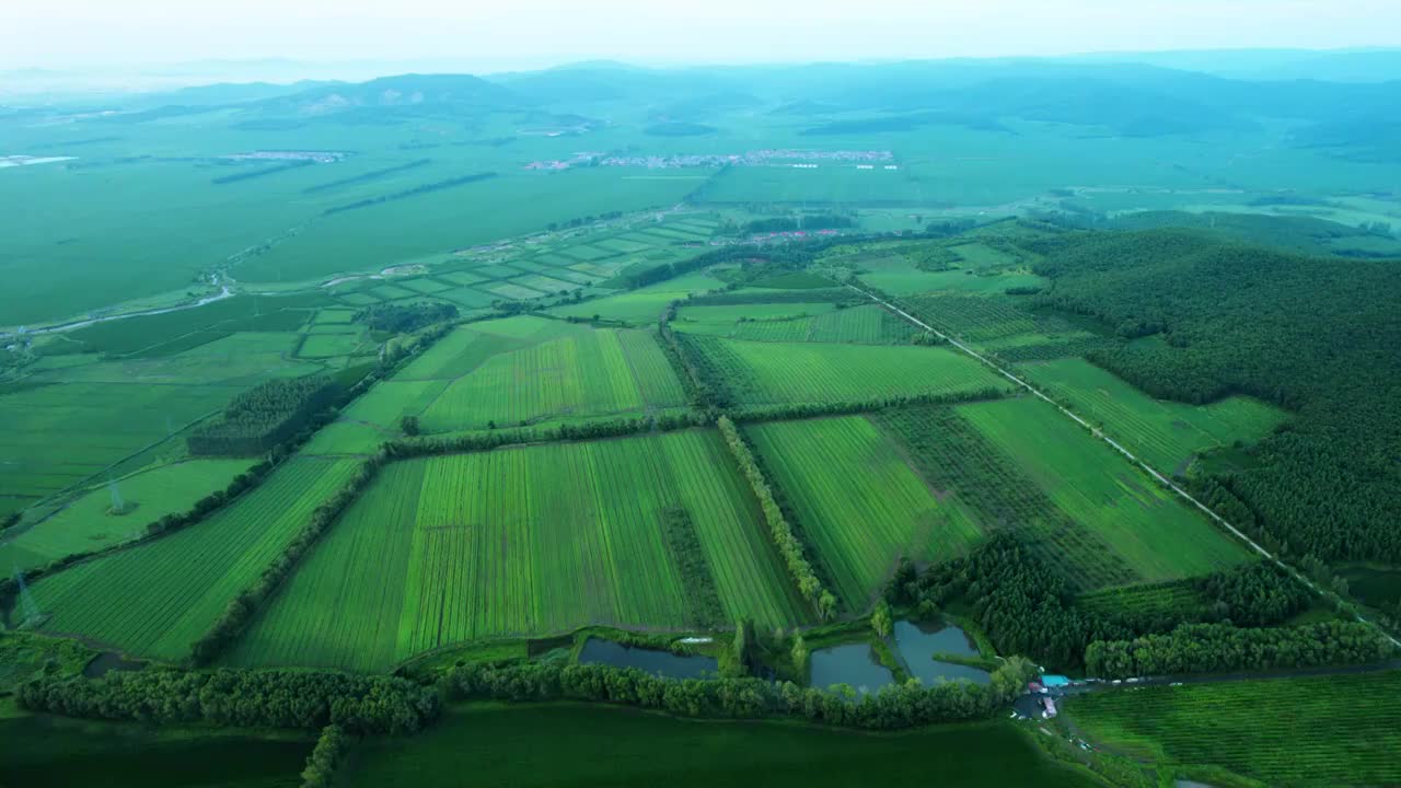 农田视频素材