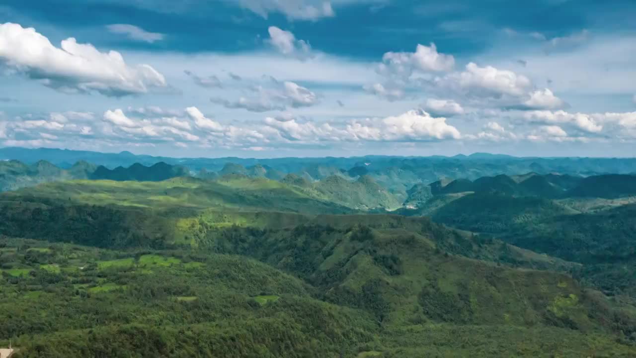 贵州的高山茶园风光-平塘县凉闪石茶园视频素材