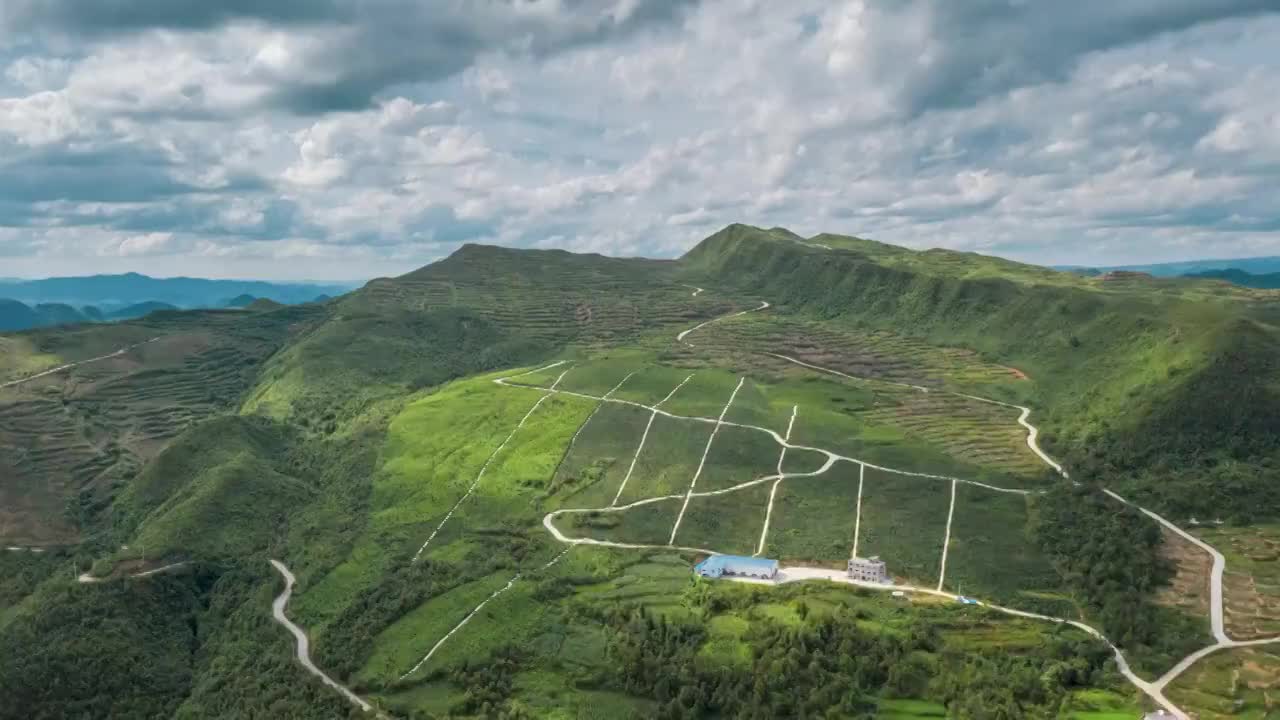 贵州的高山茶园风光-平塘县凉闪石茶园视频素材