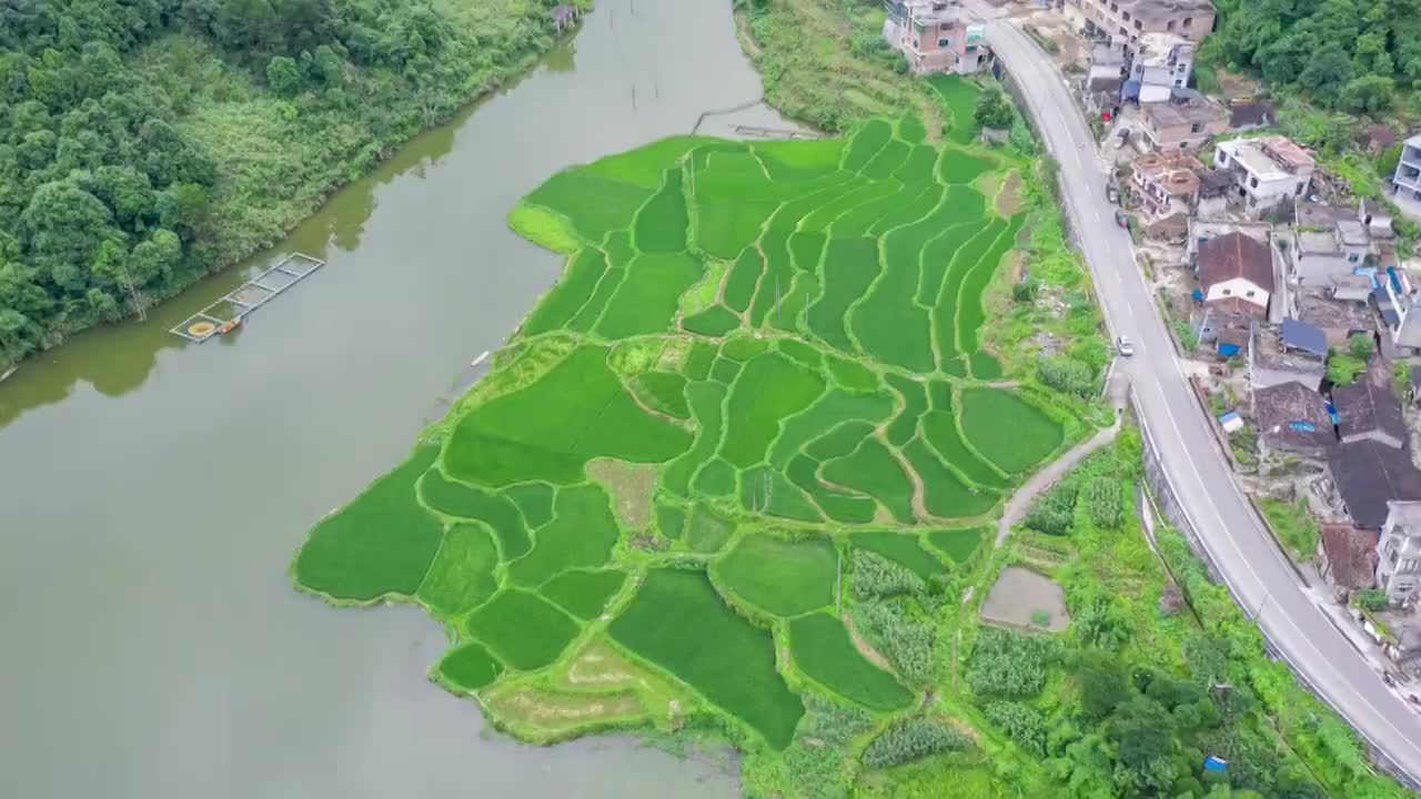 荔波茂兰的田野视频素材