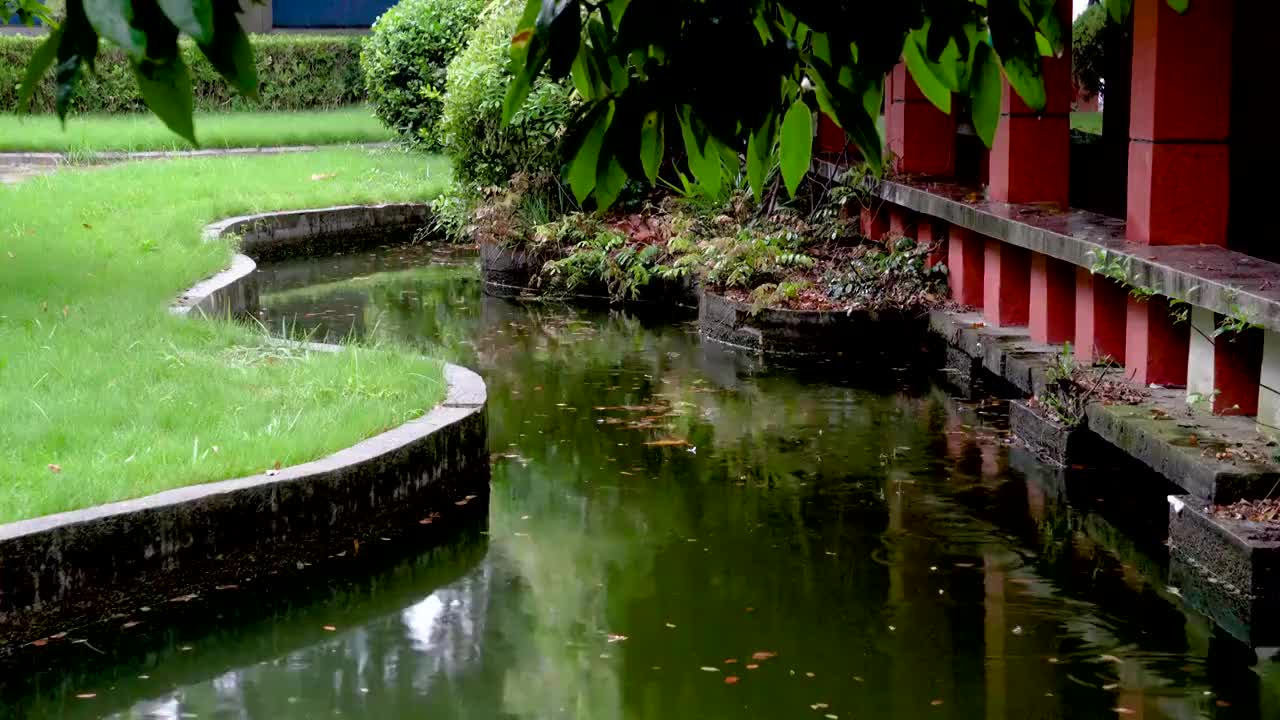 细雨蒙蒙中的花园小景视频素材