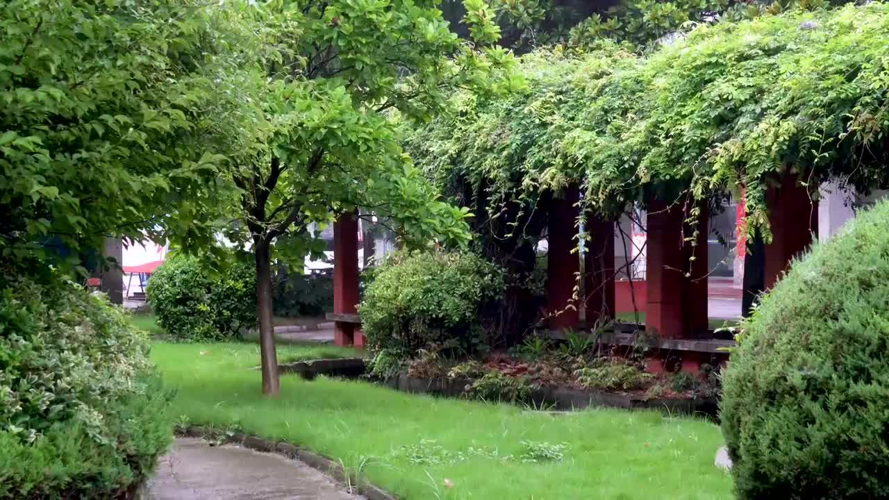 细雨蒙蒙中的花园小景视频素材