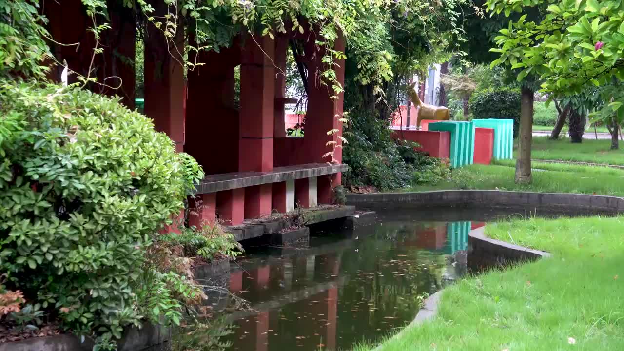 细雨蒙蒙中的花园小景视频素材