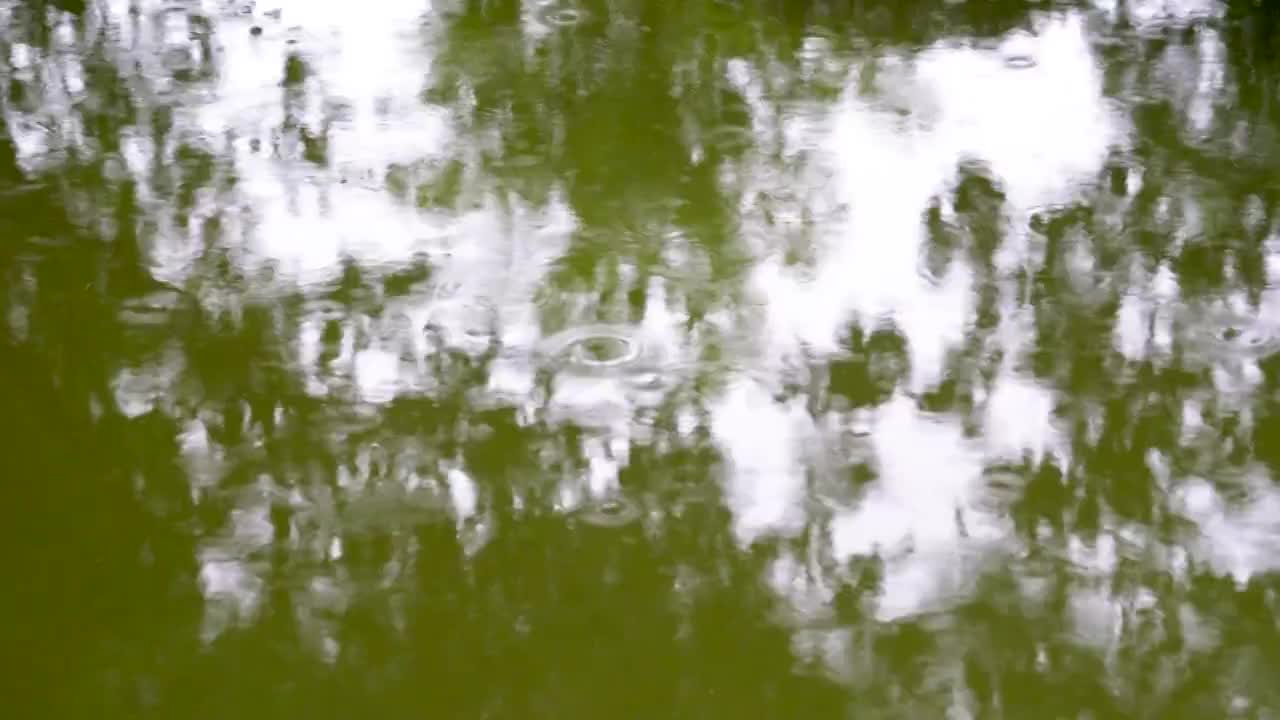 下雨天池塘中的水波纹涟漪视频素材