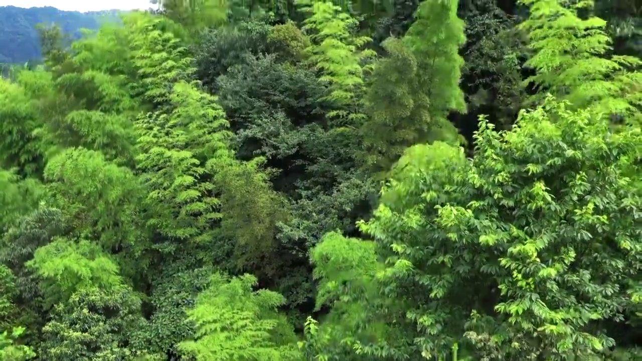 贵州赤水天岛湖风光视频素材