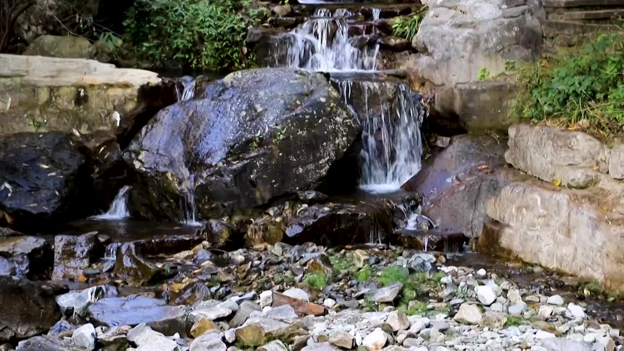 森林的小河流水视频素材