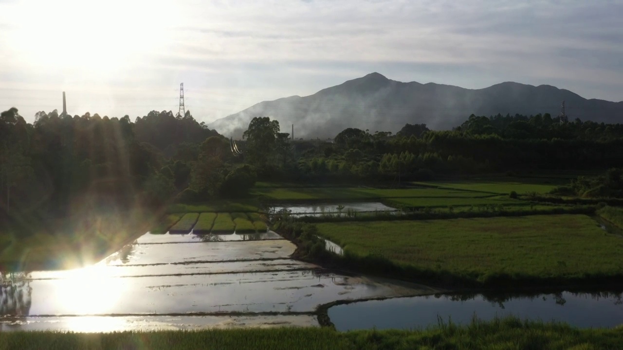 夕阳下桂林山边的水稻田视频素材