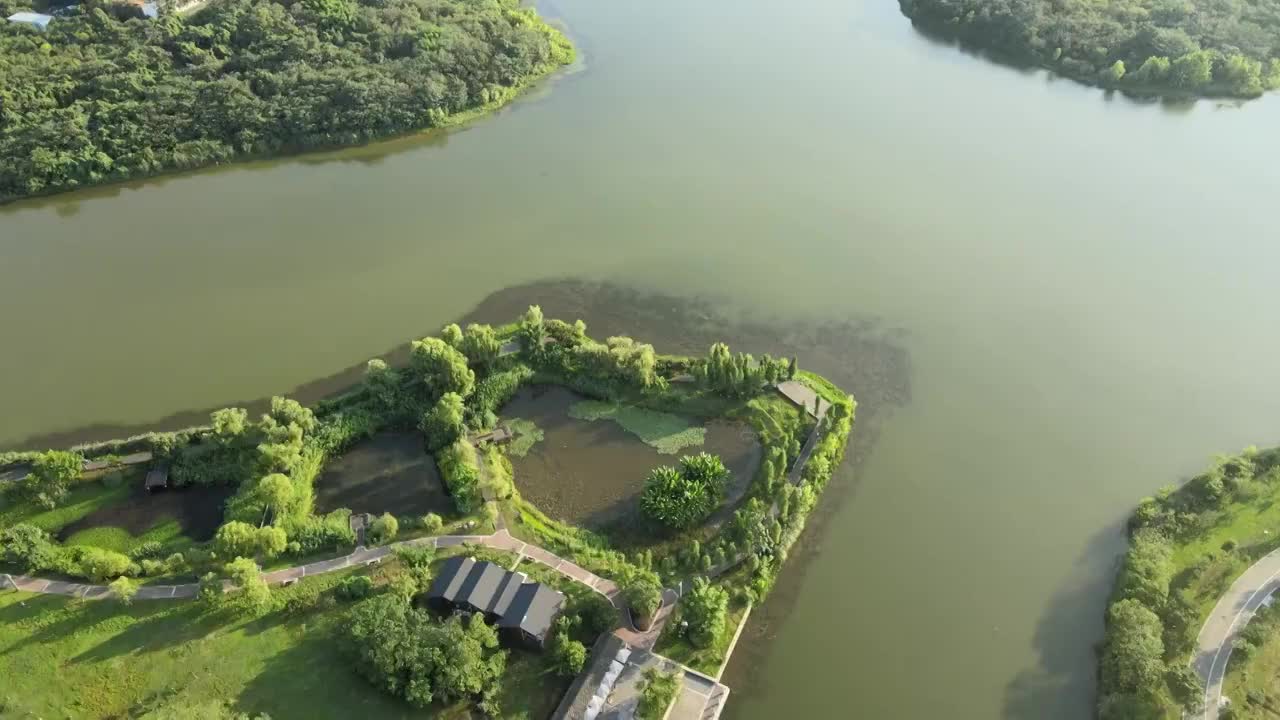 成都市青龙湖湿地公园湖泊航拍视频素材