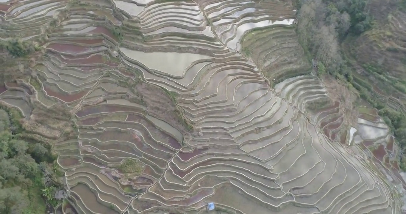 航拍元阳梯田视频素材