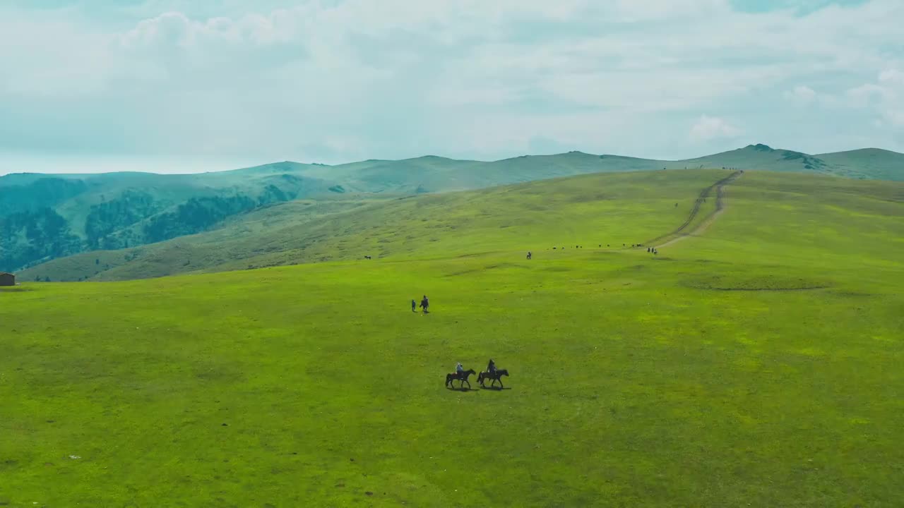 中国,自然美,风景,巴音布鲁克草原 航拍视频素材