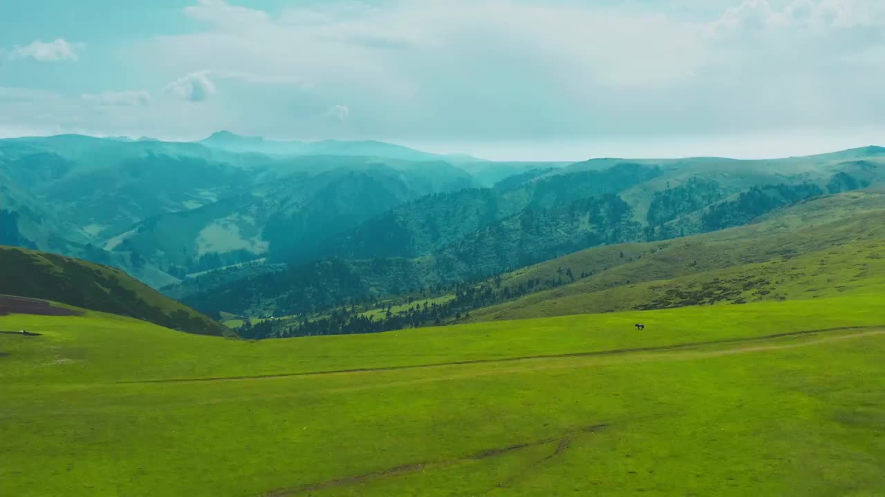 中国,自然美,风景,巴音布鲁克草原 航拍视频素材