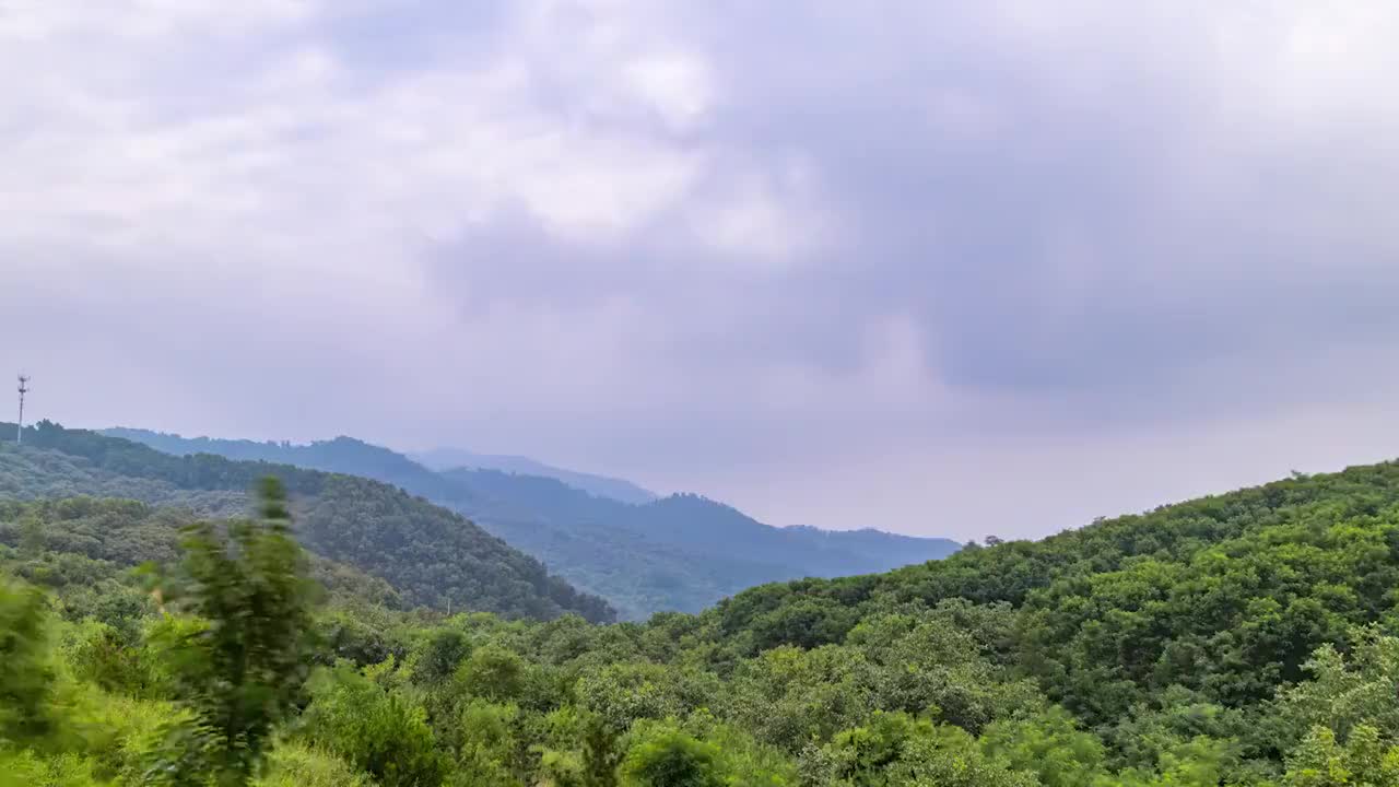 山东药乡国家森林公园白云延时摄影视频下载