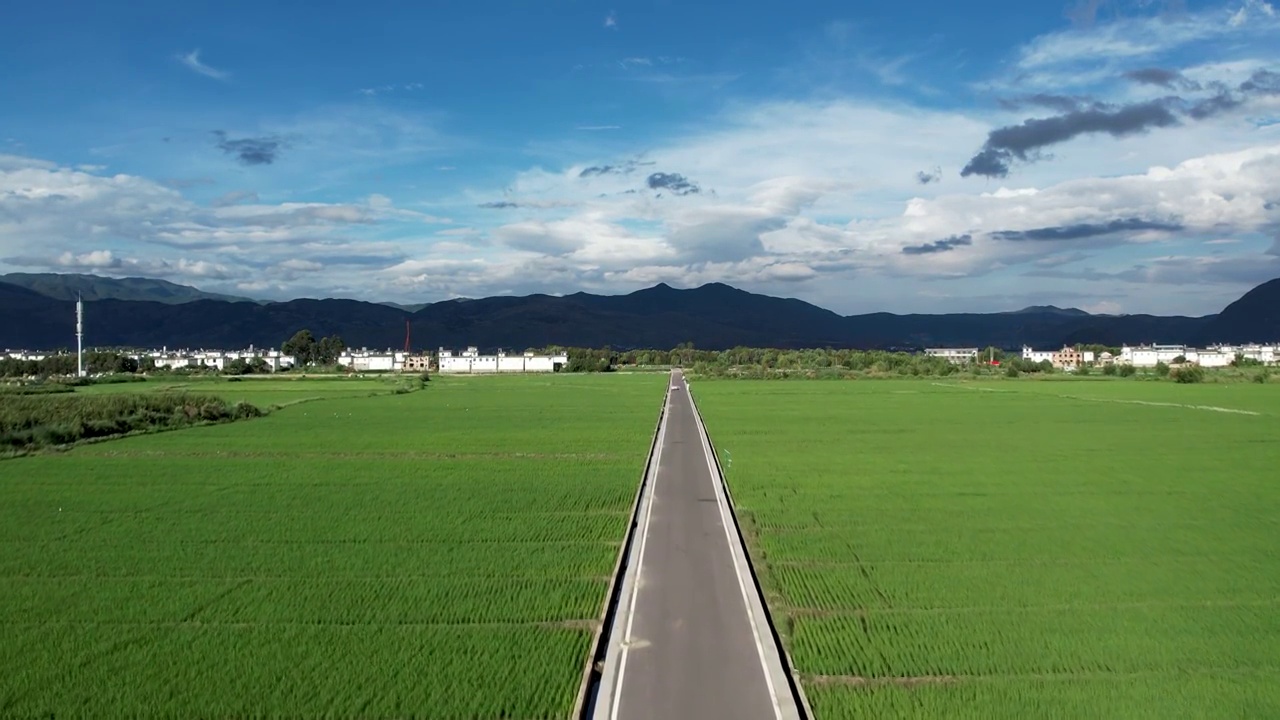 云南大理航拍水稻田地视频素材