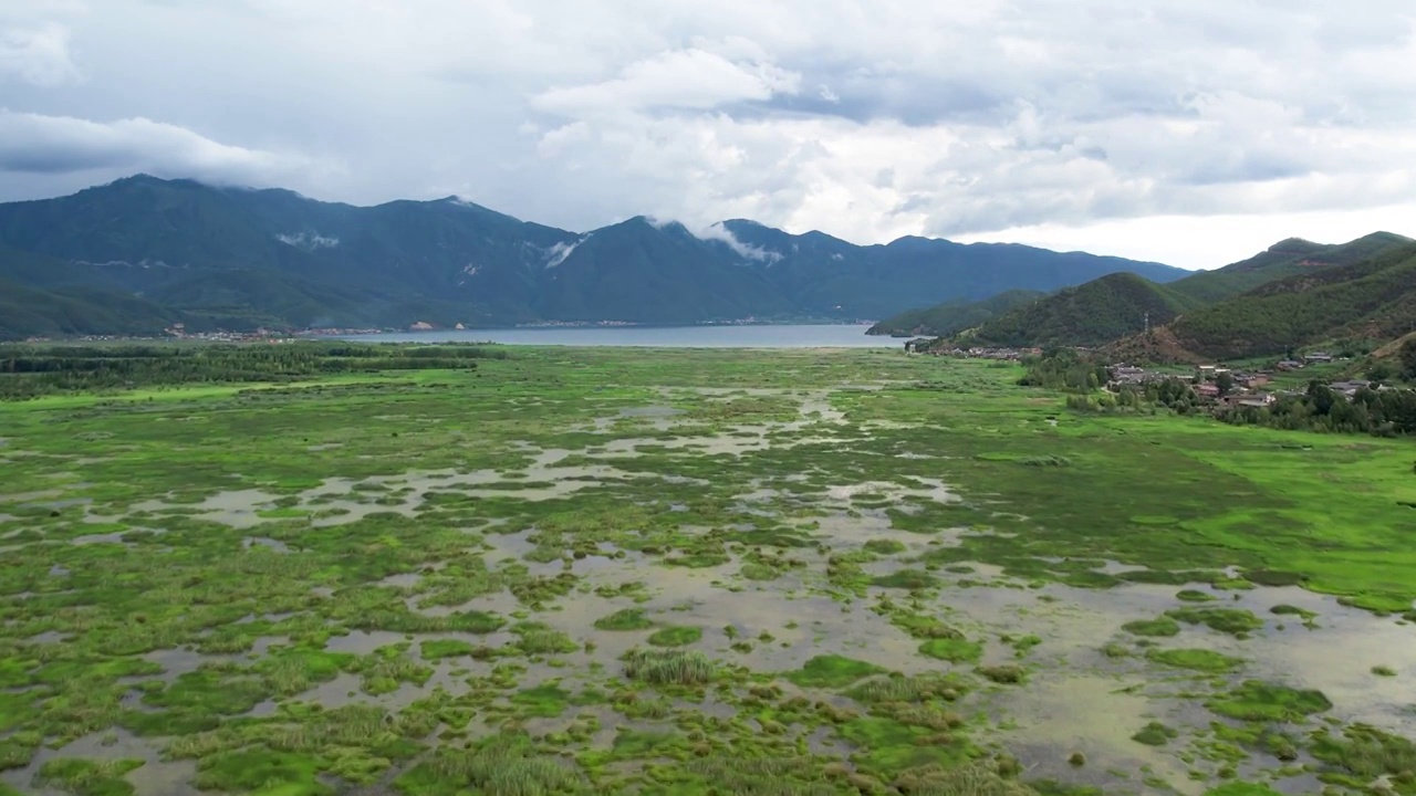 泸沽湖草海航拍视频素材