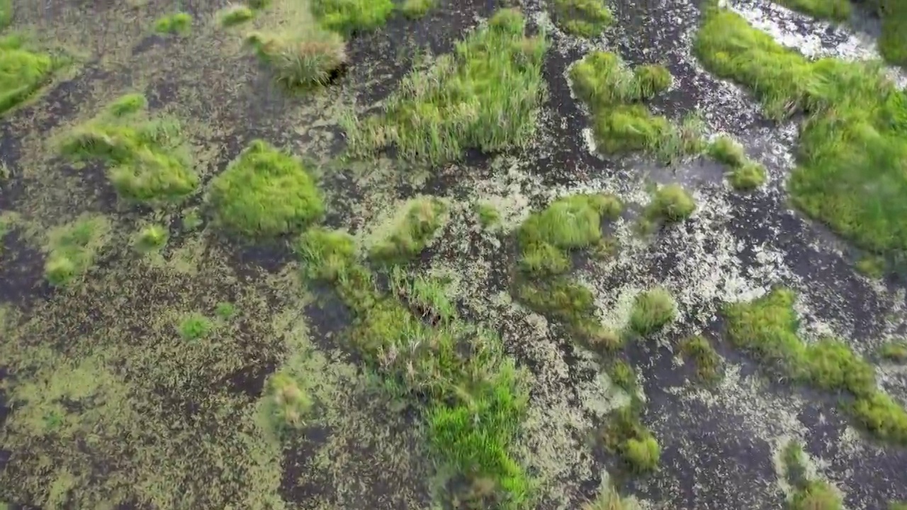 泸沽湖草海航拍视频素材