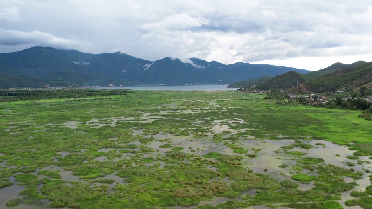 泸沽湖草海航拍视频素材