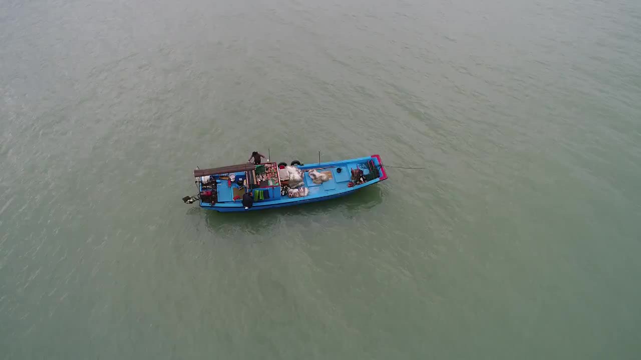 厦门沿海视频素材