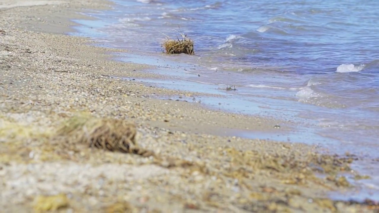 青海湖畔风光视频素材