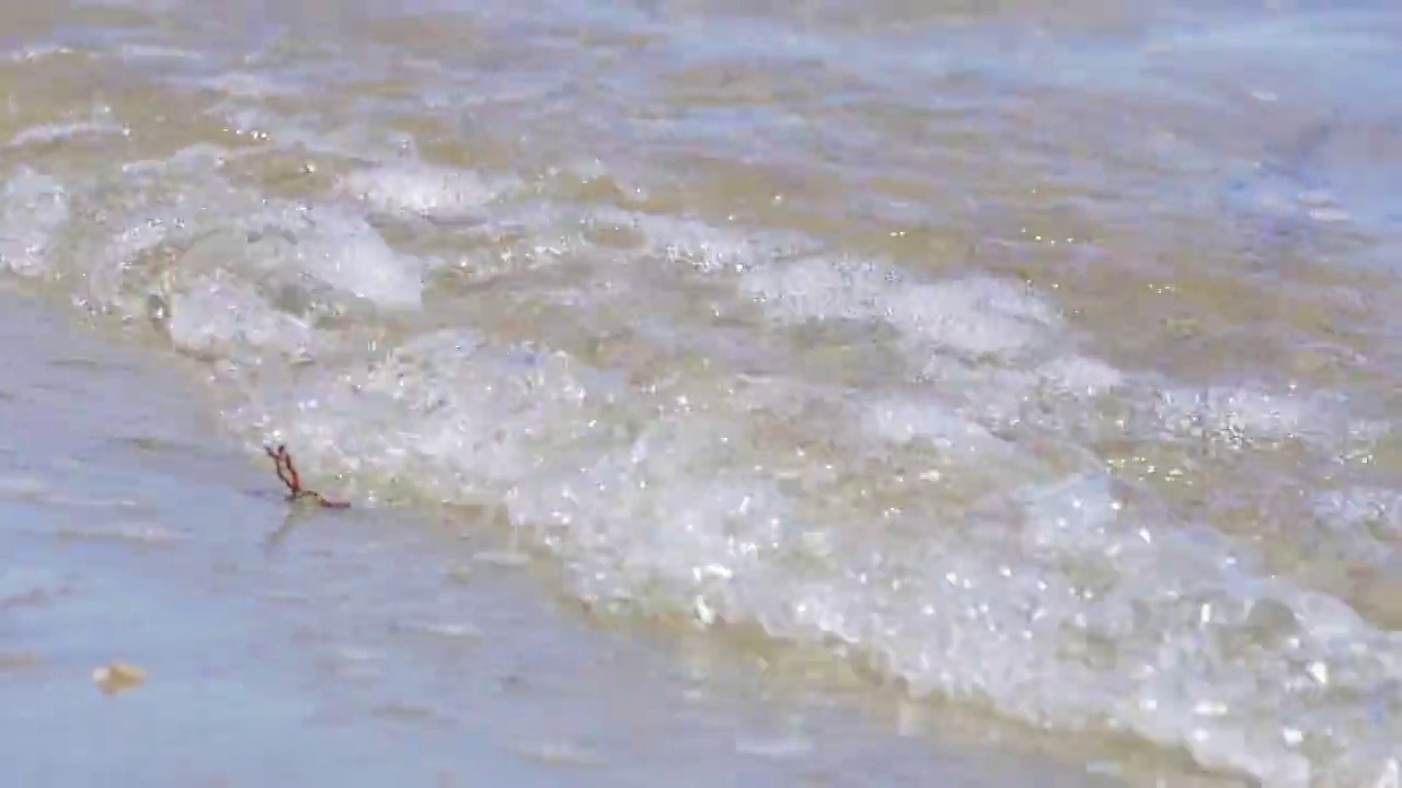 青海湖畔风光视频素材