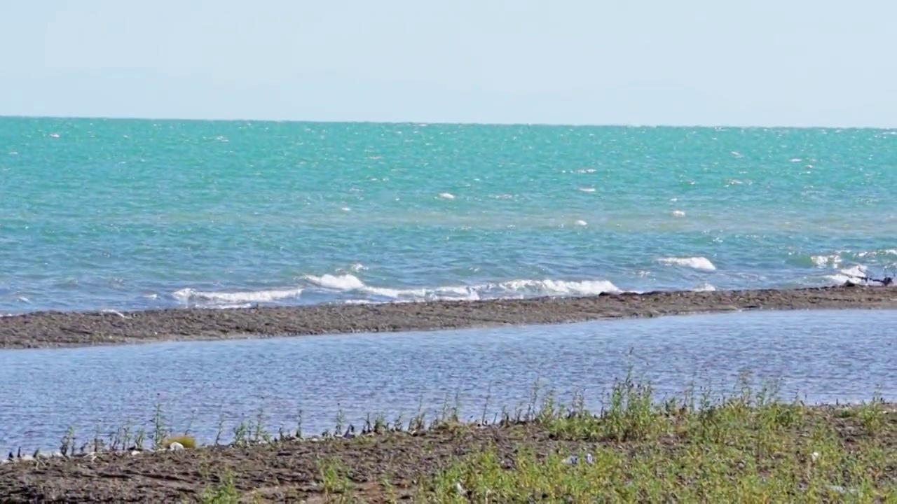 青海湖畔风光视频素材