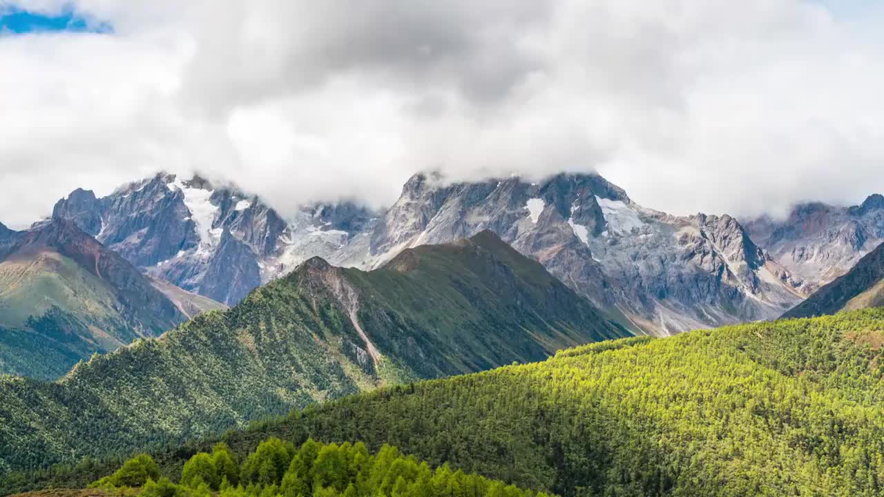 云南白马雪山视频下载