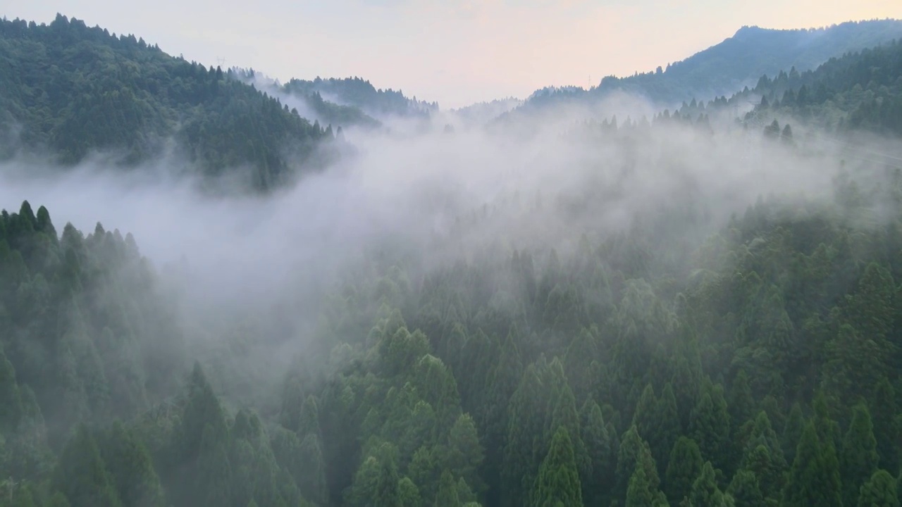 早晨山谷中的云雾视频素材