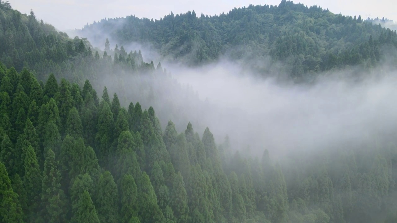 早晨山谷中的云雾视频素材